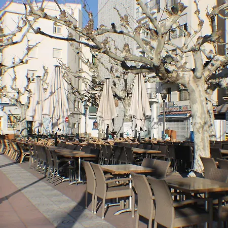 Agi Sant Isidre Roses